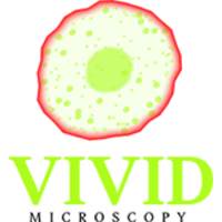 Vivid Microscopy